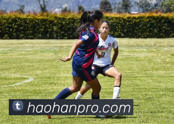 浩瀚电竞app平台生态图